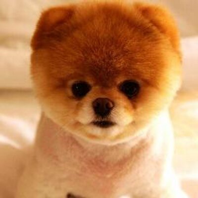 Profile Picture of Alice Fulk (@Blessedlizfulk) on Twitter