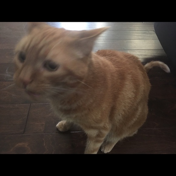 Profile Picture of Taylor Greer (@tgee1992) on Poshmark