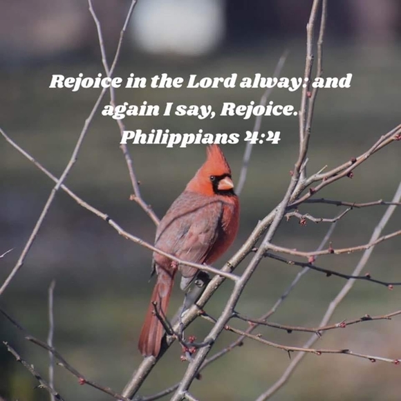 Profile Picture of Brad Peterson (@beep26) on Poshmark