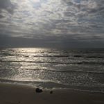 Zulma Alvarado - Instagram Profile Picture of Zulma Alvarado (@zxalva) on Instagram