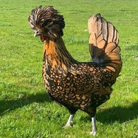 Profile Picture of Amanda Reith (@amanda-reith-1) on Quora