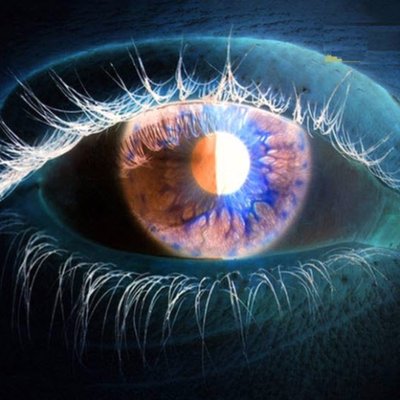 Profile Picture of Suzanne Prescott (@pancheetah) on Twitter