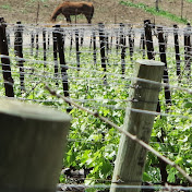 Profile Picture of Matthew Skowron (@matthewskowron1022) on Youtube