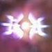 Profile Picture of Gary Backus (@gary_backus) on Pinterest