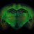 Profile Picture of Thomas Schuldt (@schuldtth) on Pinterest