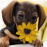 Profile Picture of Marc Durant (@franck.duchamps.37454) on Instagram