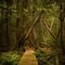 Profile Picture of Adam Abram (@adam.abram.7902) on Facebook