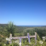 Profile Picture of Stacey Harvey (@populseta) on Instagram