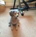Profile Picture of Jerry Gates (@della.gates.161) on Facebook
