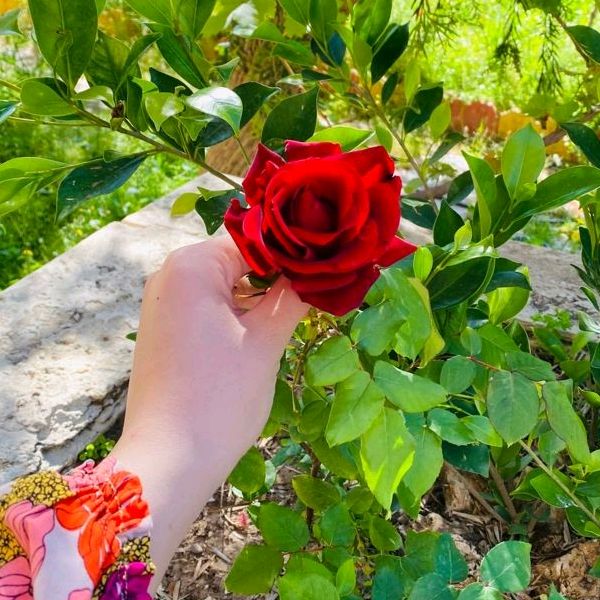 Profile Picture of Sherine Ibrahim (@sherine.ibrahim5) on Tiktok