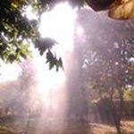 Profile Picture of Monique Fay (@moniquefay) on Instagram