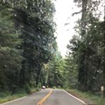 Profile Picture of David Nichols (@david_32843) on Instagram