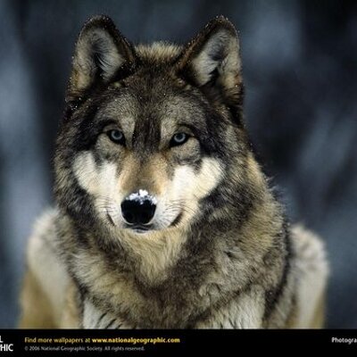 Profile Picture of Jaclyn Murphy (@jmurph3) on Twitter