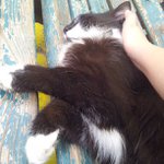 Profile Picture of Caron Jackson (@nycfantasyjewel) on Instagram