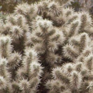 Profile Picture of GLENN SEALS (@glenn.seals) on Tiktok