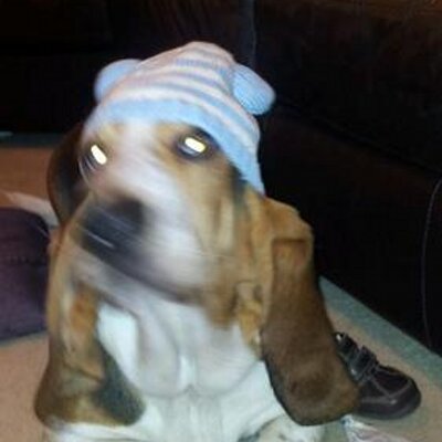 Profile Picture of Joe Linskey (@joeylinskey11) on Twitter