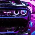 Profile Picture of Dewald Badenhorst (@jeff.botha.585) on Instagram