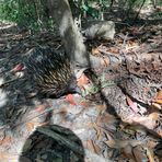 Profile Picture of Nicholas Hartley (@nicholas.hartley1) on Facebook