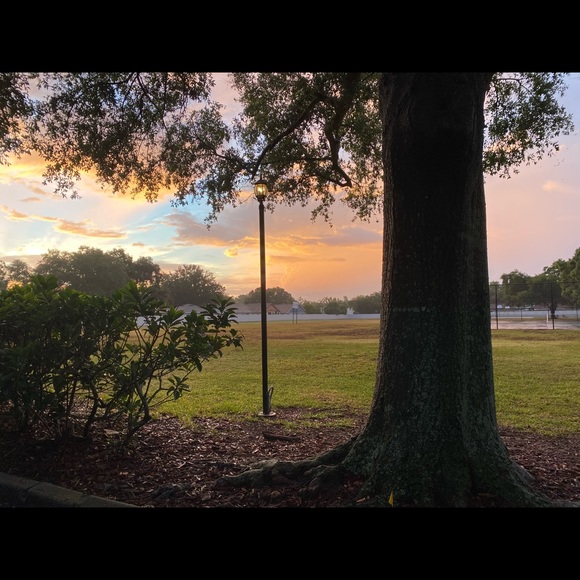 Profile Picture of Daniella Giampietro (@dgiampietro) on Poshmark