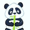 Profile Picture of adrianlua6162 (@adrianlua6162) on Tiktok
