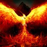 Profile Picture of Jimmy Bolaños (@jimmyabc85) on Instagram