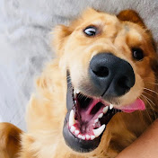 Profile Picture of Cindy Paez (@cindypaez5782) on Youtube