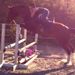 Profile Picture of Alexa Glennon (@alexaglennon) on Pinterest