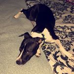 Profile Picture of Jennifer Dunstan Leon (@jenniferdunstanleon) on Instagram