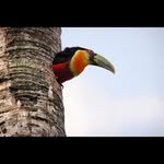 Profile Picture of David Zarcone (@davidzarcone) on Instagram