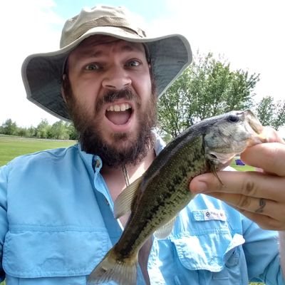 Profile Picture of Daniel Todd (@thebugmandan) on Twitter