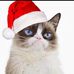 Profile Picture of Nicholas McAuliffe (@nicholas.mcauliffe.5) on Facebook