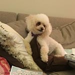 Profile Picture of Nancy Fagan (@mommaf8998) on Instagram