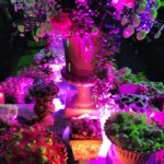 Profile Picture of Lorena Pimentel Decoracoes ✨✨ (@lpdecoration) on Instagram