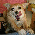 Profile Picture of patrick stuart (@ssstuart123) on Instagram