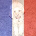 Profile Picture of Steven Weatherholt (@stevenweatherholt) on Instagram