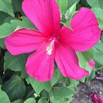 Profile Picture of Laura Nadeau (@lnadeau01) on Instagram