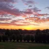Profile Picture of harper.gordon (@harper.gordon) on Tiktok