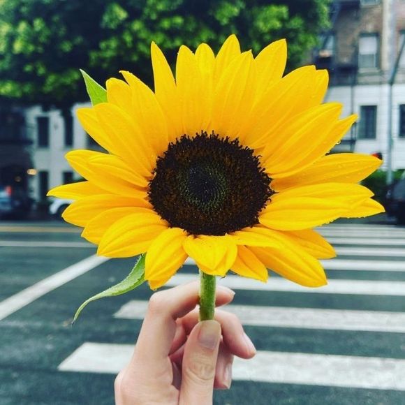 Profile Picture of Jessica Jaskolka (@jessjask) on Poshmark