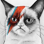 Profile Picture of Shawn Magill (@shawn_magill) on Instagram