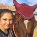 Profile Picture of #horselover16 (@mandydobson39) on Pinterest