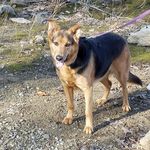 Profile Picture of Drew Dershimer (@gvilledd) on Instagram