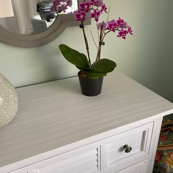 Profile Picture of Leslie Coursolle (@lacoursolle) on Poshmark