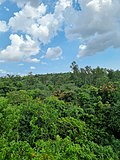 Profile Picture of Nanmangalam Reserve Foreston Wikipedia
