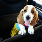 Profile Picture of Michael Jarrell (@mercyteneck) on Instagram