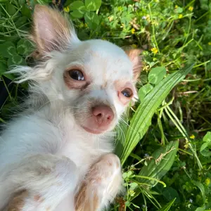 Profile Picture of valeriarangel891 (@valeriacamunez) on Tiktok