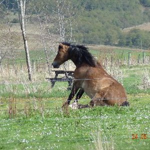 Profile Picture of Fergus Grant (@Fergusgrant11) on Twitter