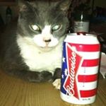 Profile Picture of Richard Lafave II (@lafaveii) on Instagram