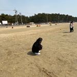 Profile Picture of 이단나 (@na.dannana) on Instagram