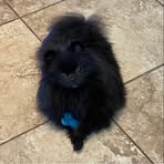 Profile Picture of David Pavlica (@david.pavlica.75) on Facebook