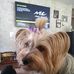 Profile Picture of Lynn Stack (@lynn.stack.9) on Facebook
